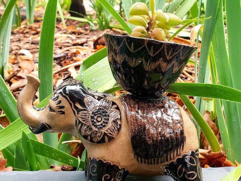 ceramic elephant planter